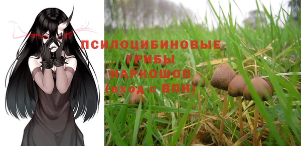 прущие крисы Дегтярск
