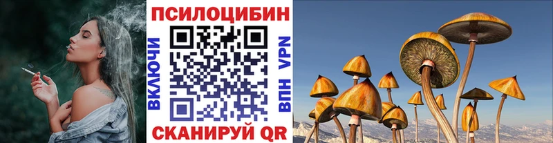 Псилоцибиновые грибы мицелий  магазин  наркотиков  Красный Кут 